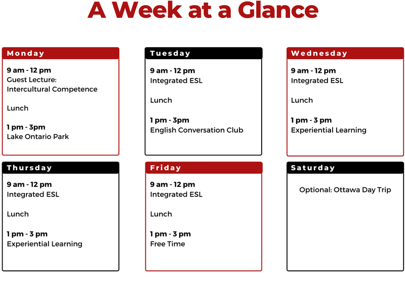 Schedule Example